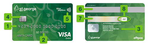 Visa Debit Card